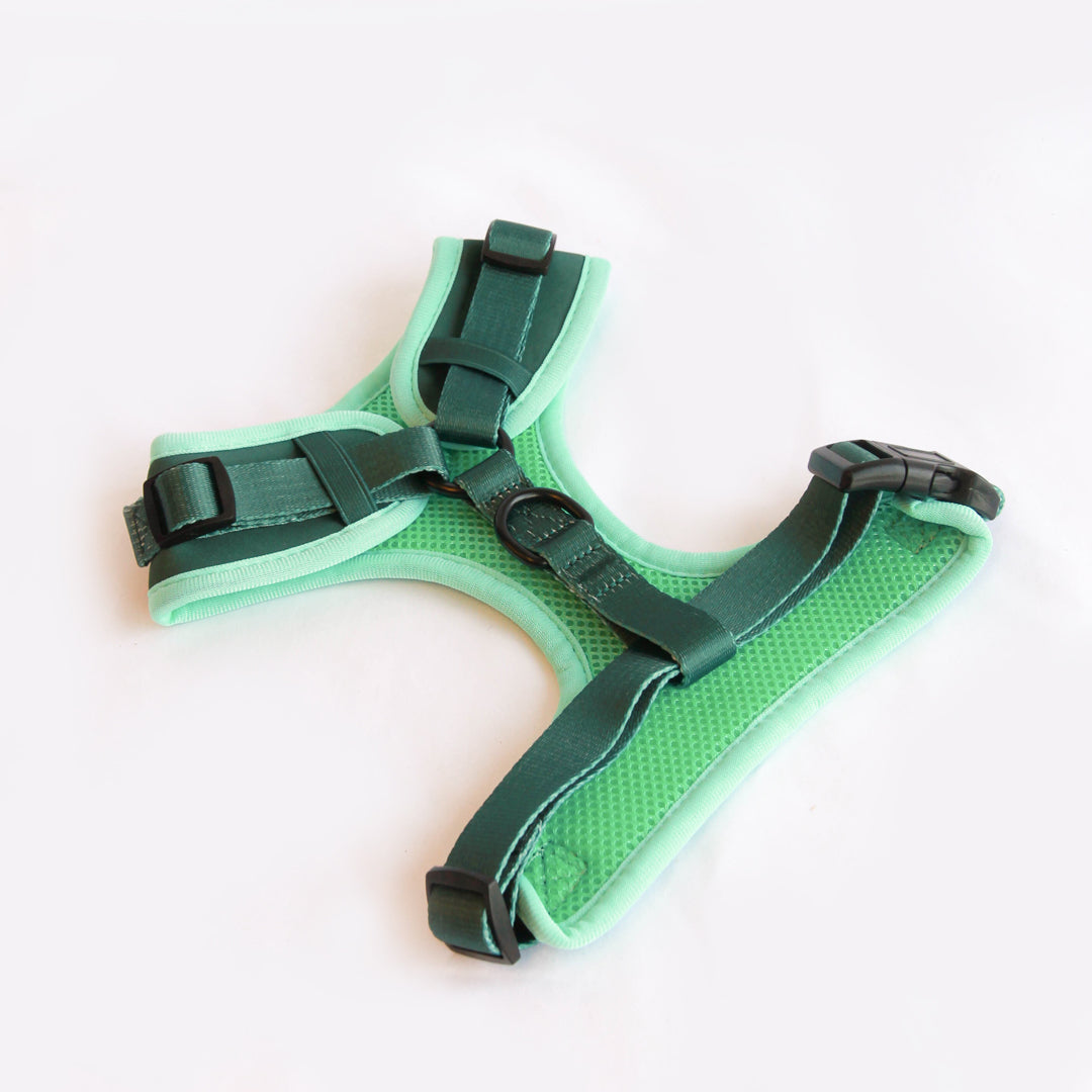 Willow Walks Bundle in dark green and aqua SAVE £18