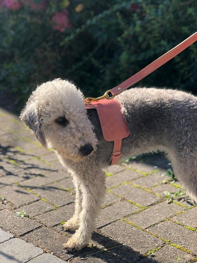 Willow Walks adjustable leather harness with croc effect in dusky pink