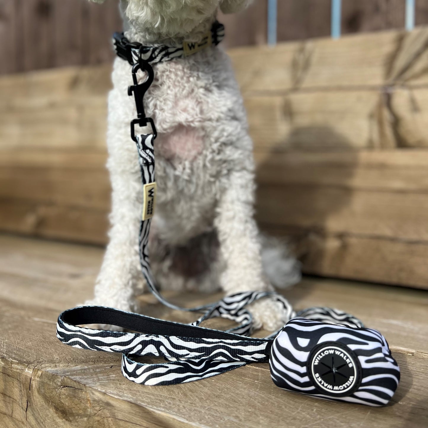 Willow Walks soft lead in zebra