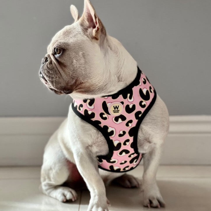 Willow Walks Reversible Harness in pink leo and multi