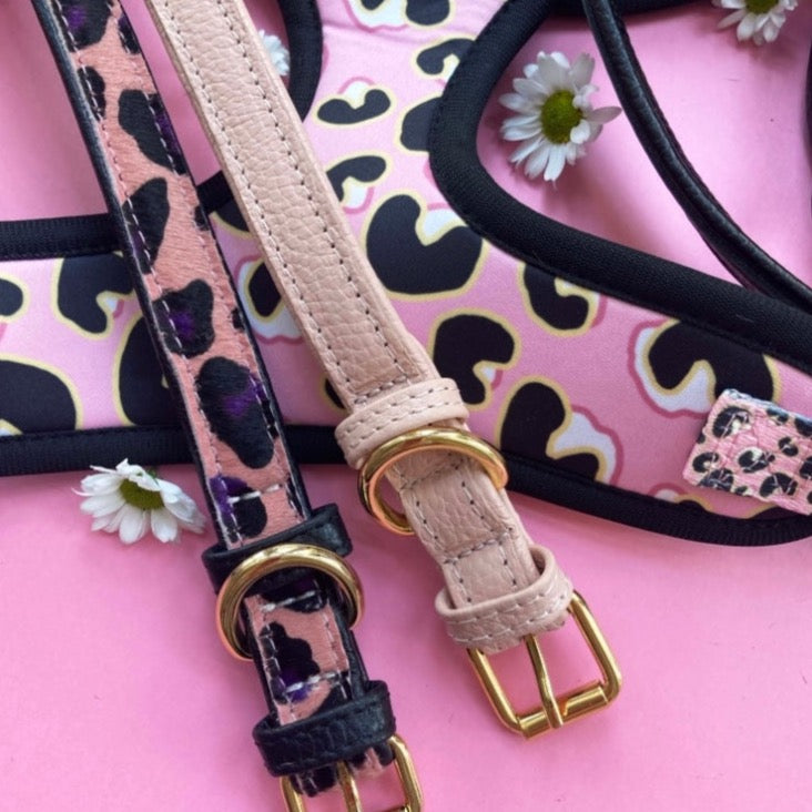 Willow Walks Reversible Harness in pink leo and multi