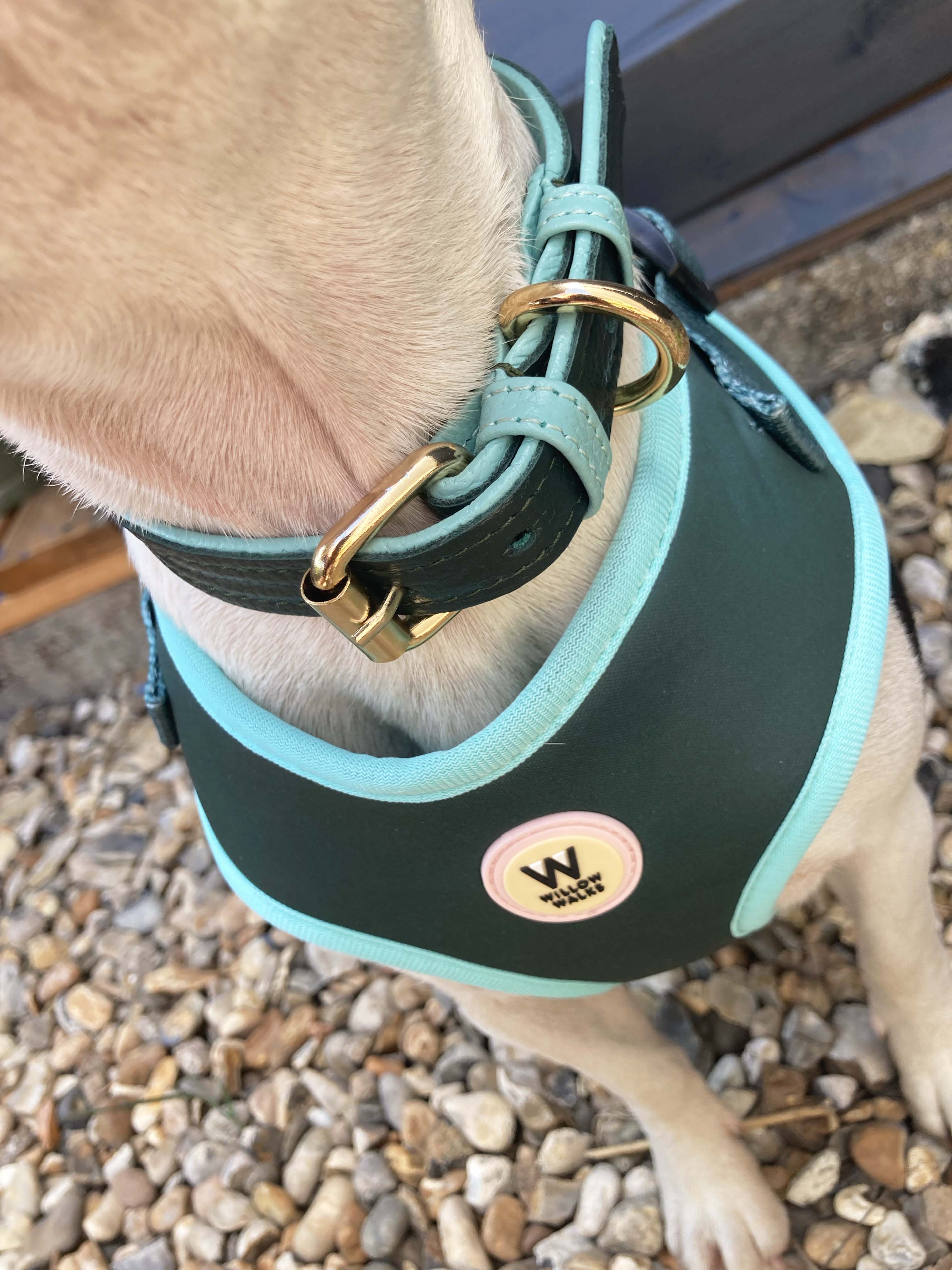 Dark green dog top harness