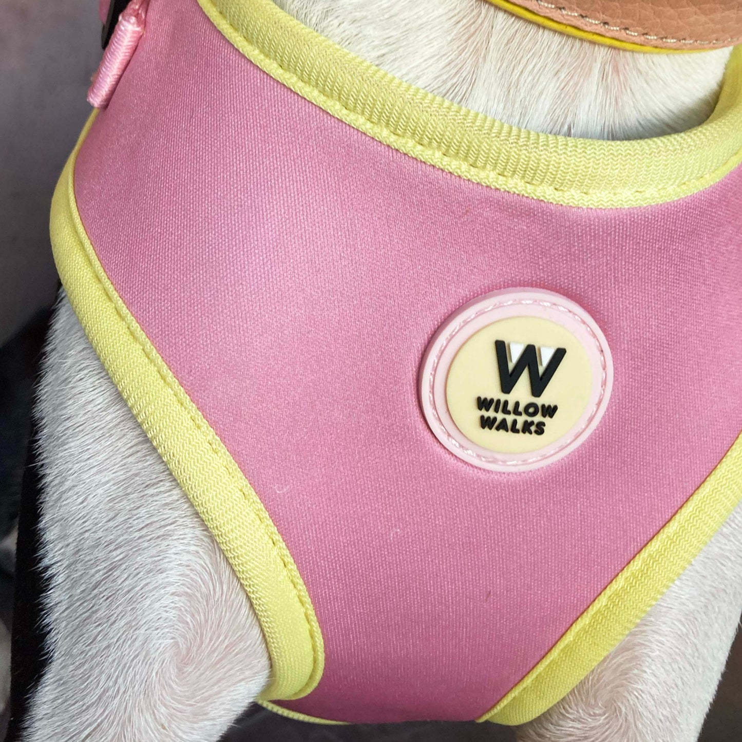 Willow Walks Harness in soft pink and yellow
