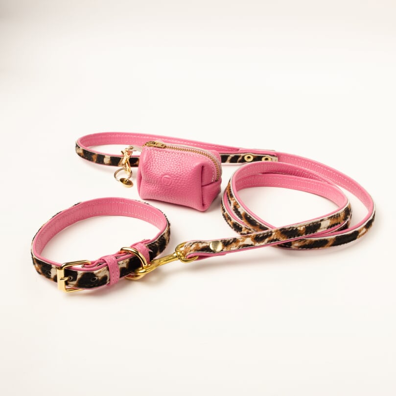 Willow Walks leather collar in leo and hot pink