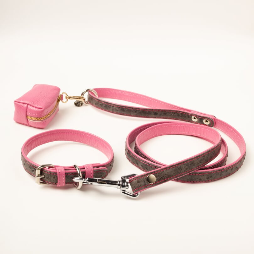 Willow Walks double sided soft leather lead with ostrich effect in grey and bright pink