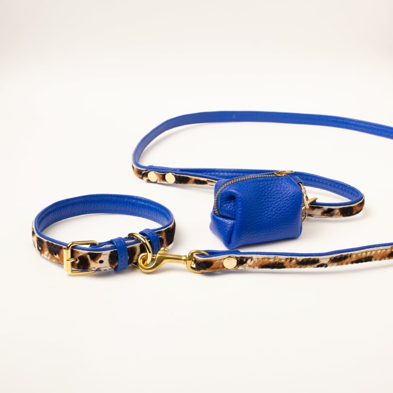 Willow Walks leather collar in leo and cobalt blue