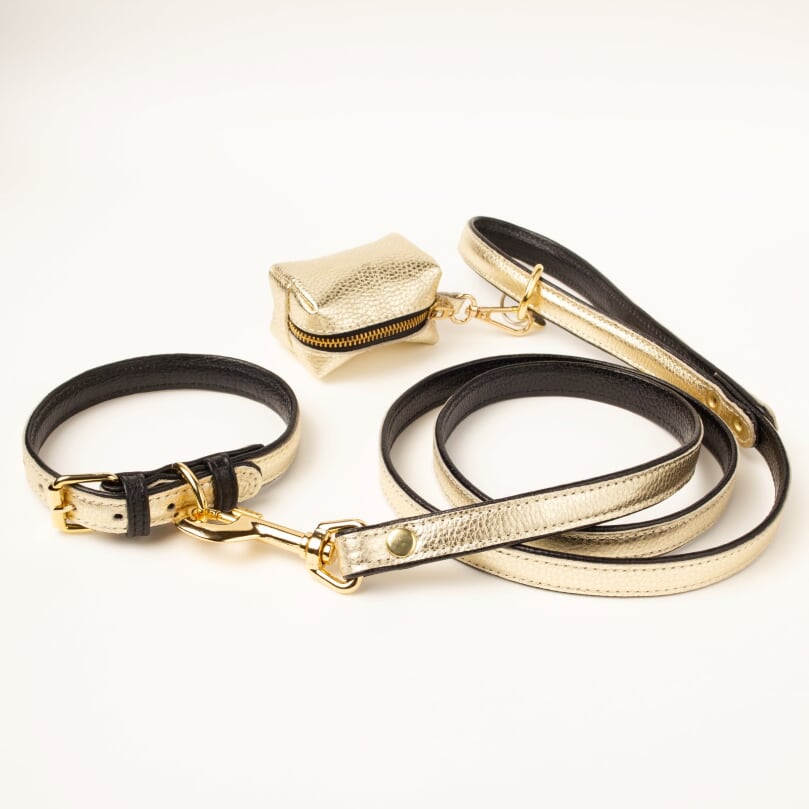 Willow Walks premium leather collar in gold and black