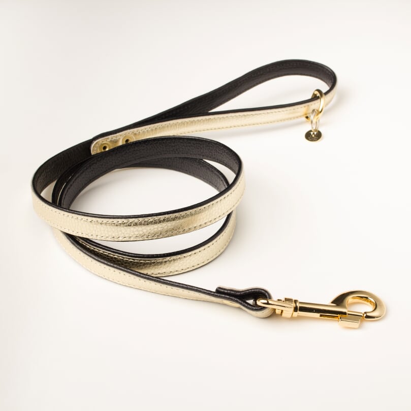 Willow Walks premium double sided soft leather lead in black and gold