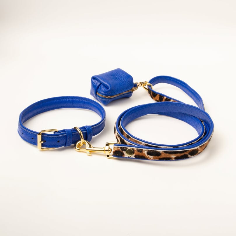 Willow Walks double sided soft leather lead in leo and cobalt blue