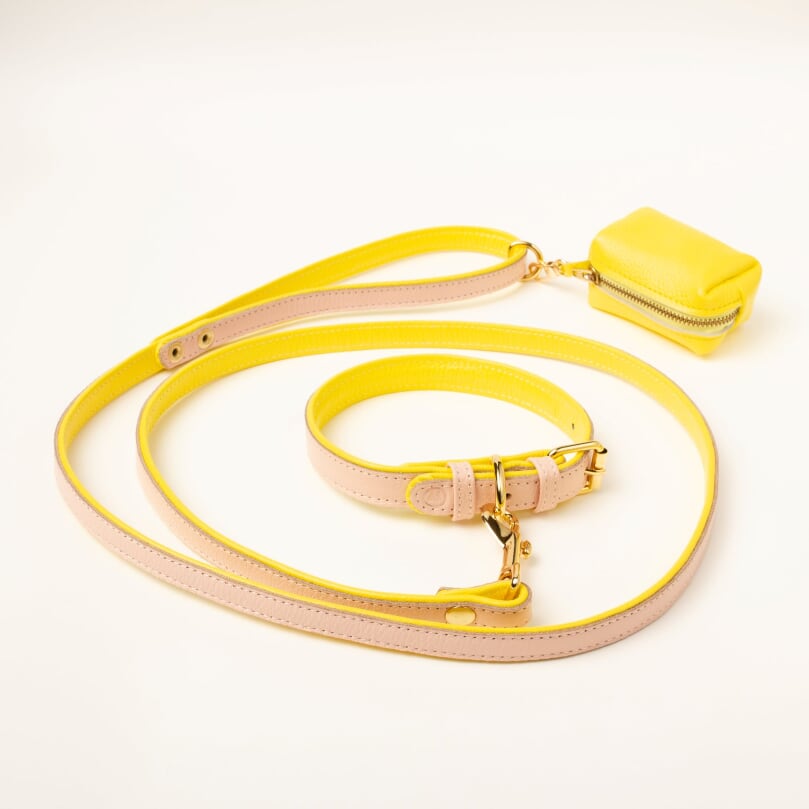 Willow Walks double sided soft leather lead in yellow and soft pink