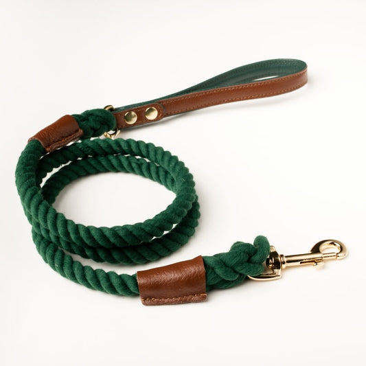 Willow Walks rope lead with leather handle in brown and dark green