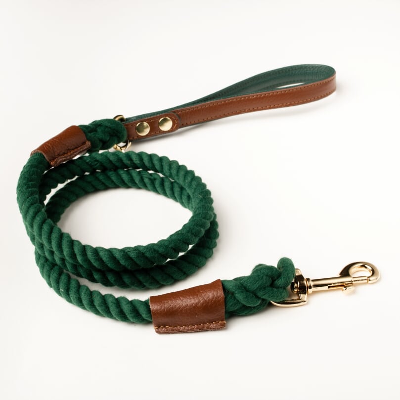 Willow Walks Rope Lead Bundle in Brown and Dark Green SAVE £6