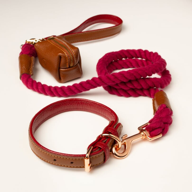 Willow Walks rope lead with leather handle in brown and berry