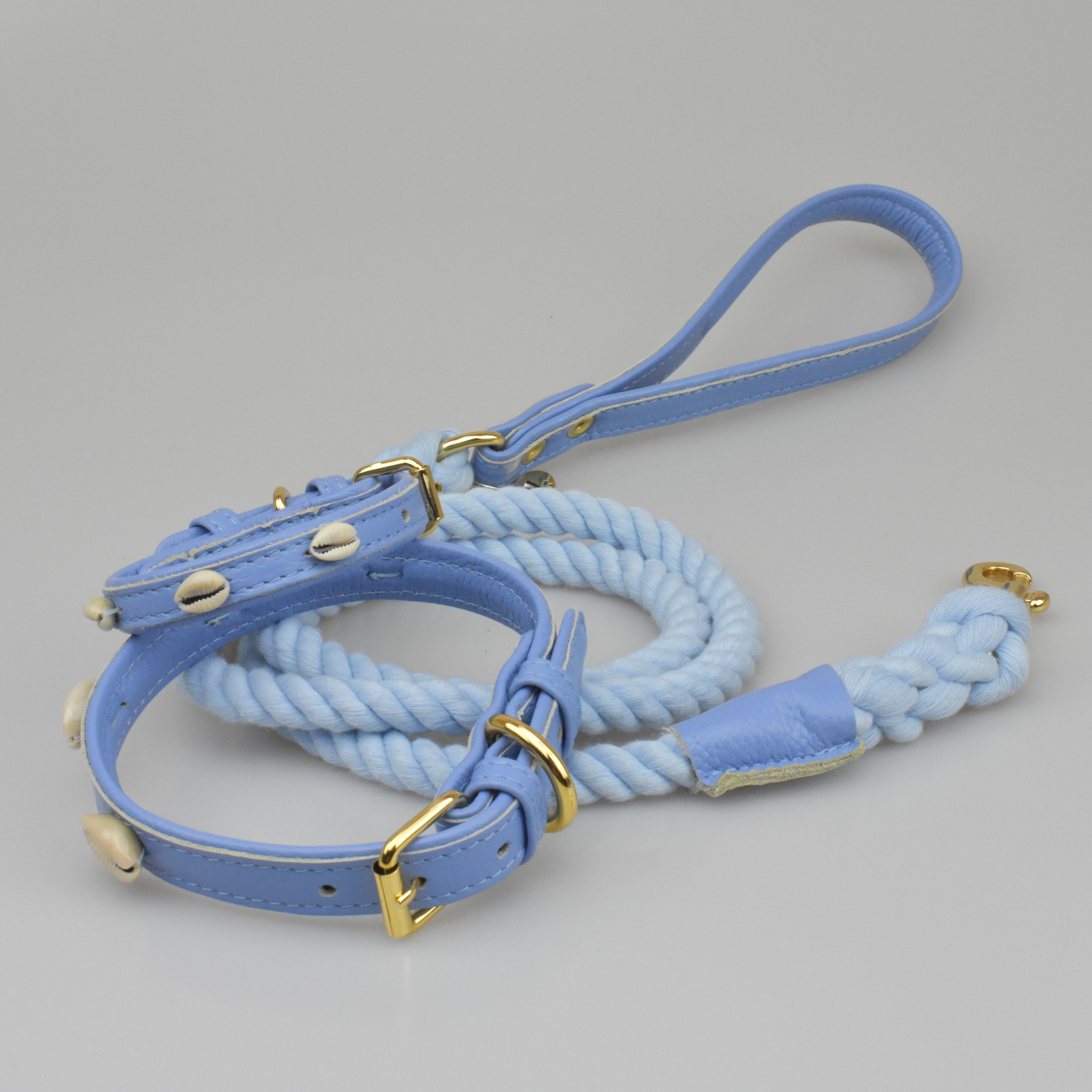 Light blue dog on sale leash