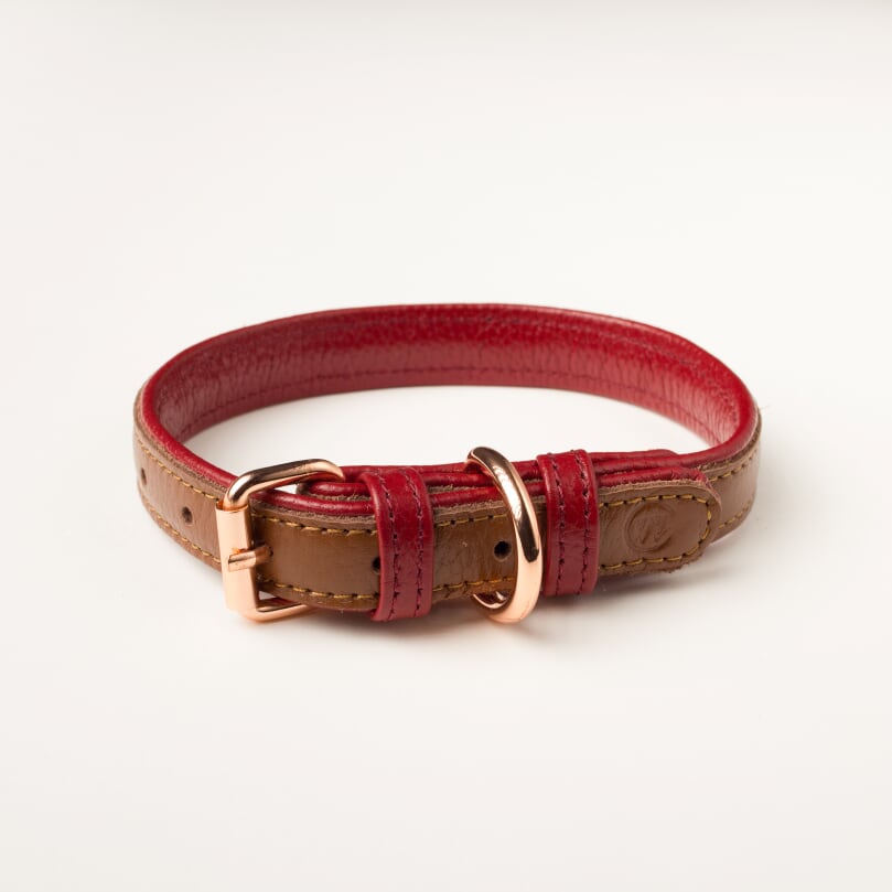 Willow Walks Rope Lead Bundle in Brown and Berry SAVE £6
