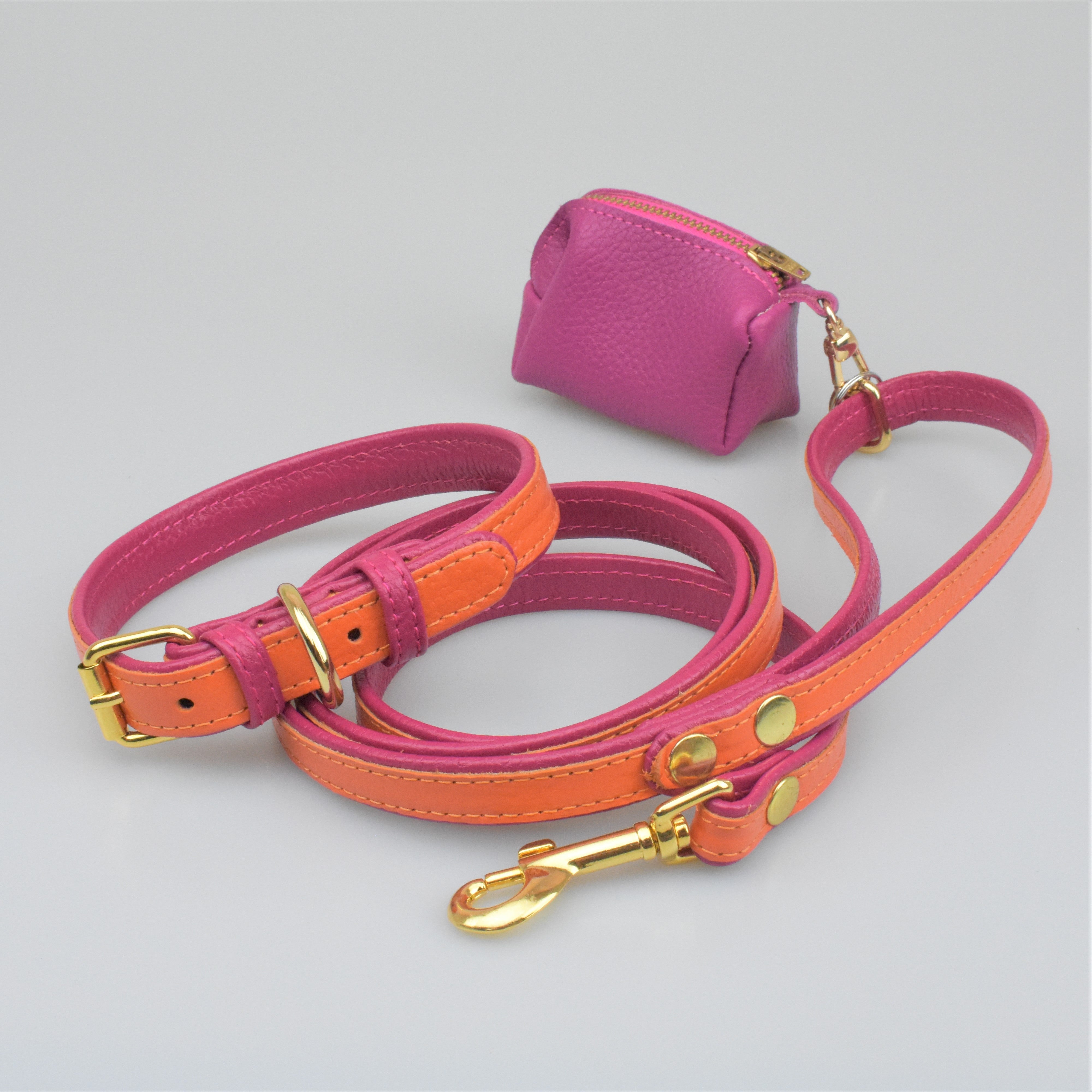 Fuchsia dog outlet collar