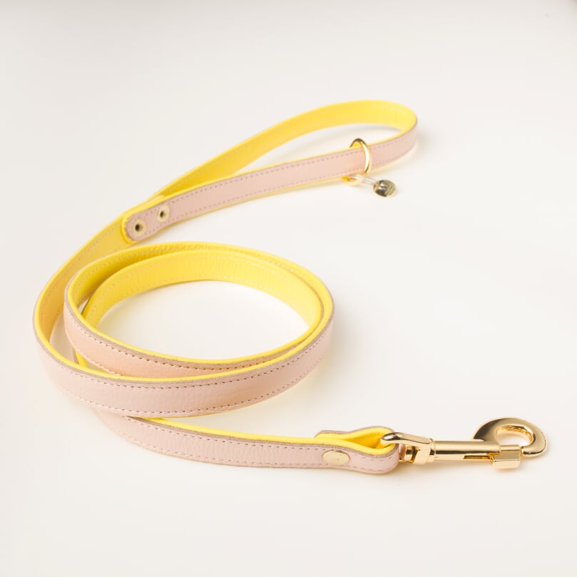 Willow Walks double sided soft leather lead in yellow and soft pink