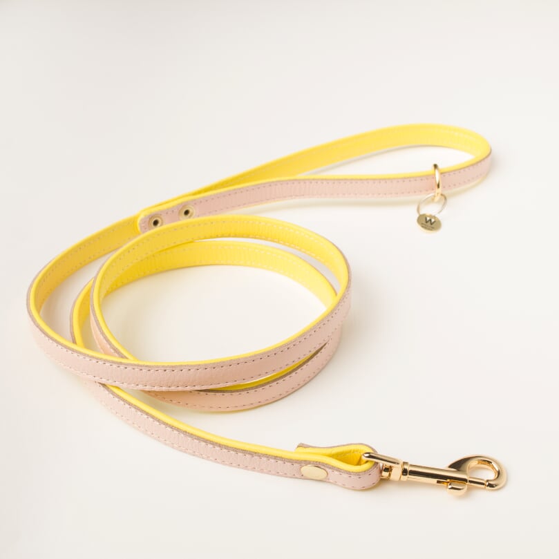 Willow Walks double sided soft leather lead in yellow and soft pink