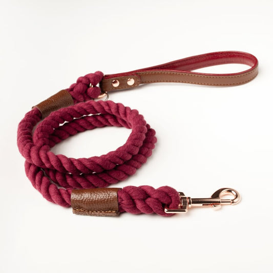 Willow Walks rope lead with leather handle in brown and berry