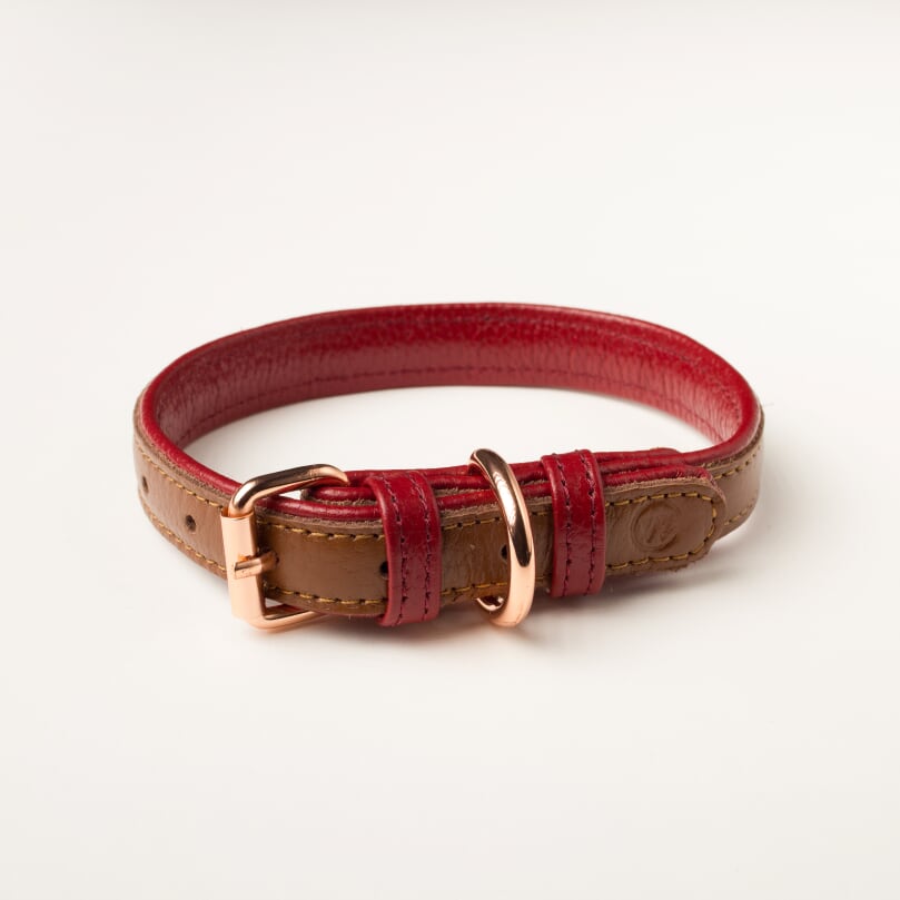 Willow Walks leather collar in brown and berry
