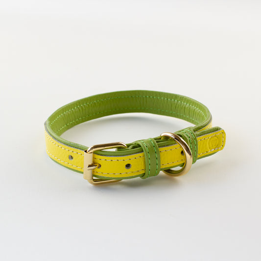 Yellow green leather collar Willow Walks