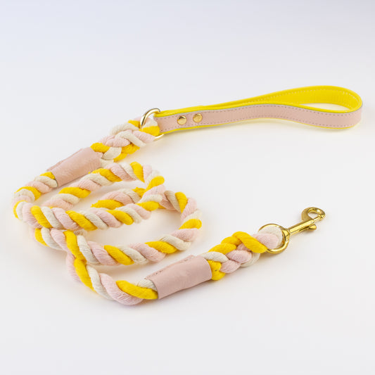 Pink Yellow Rope lead Willow Walks