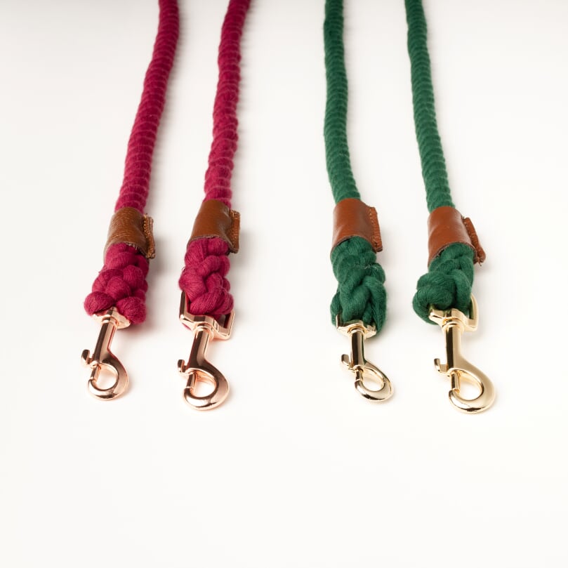 Willow Walks rope lead with leather handle in brown and berry