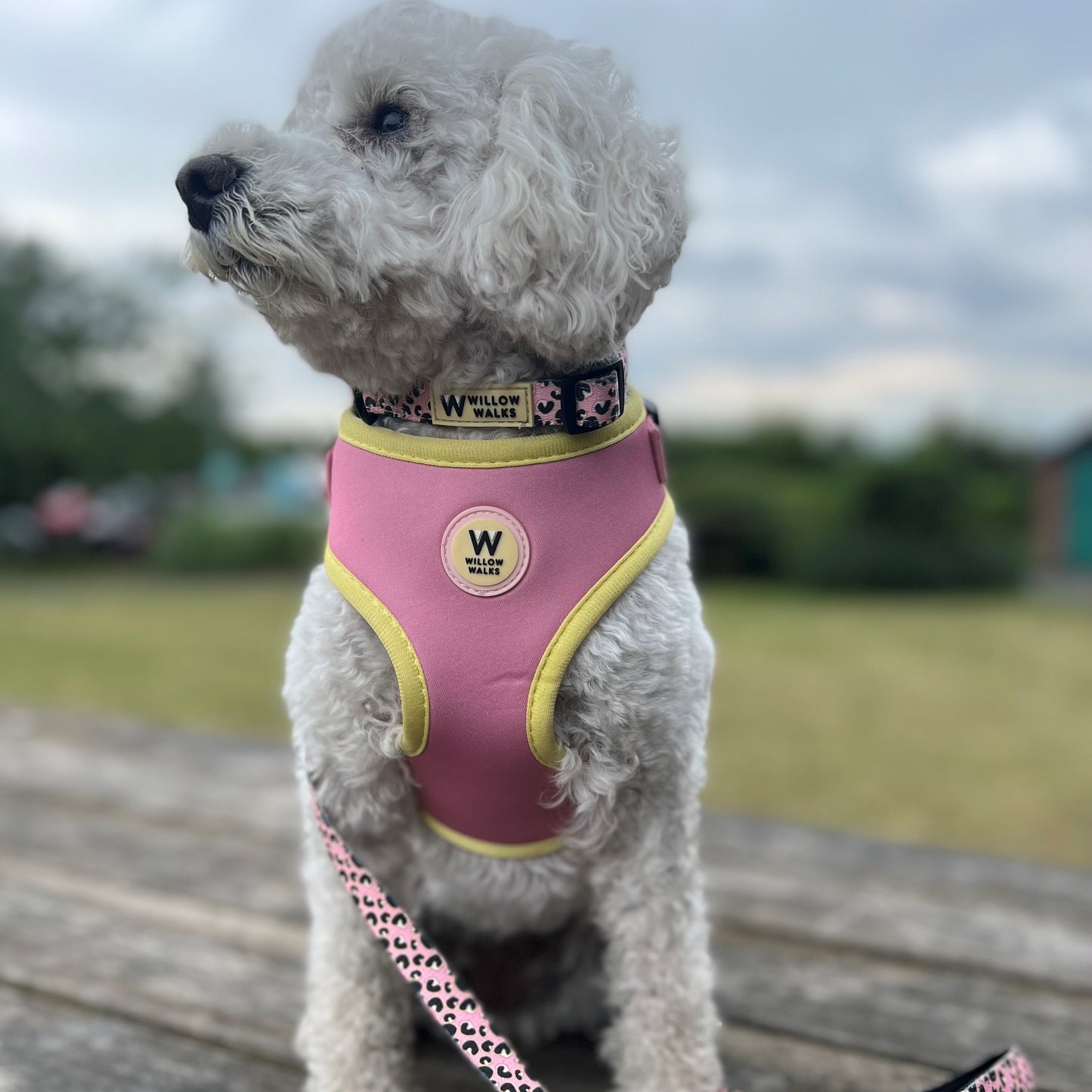 Willow Walks Harness in soft pink and yellow