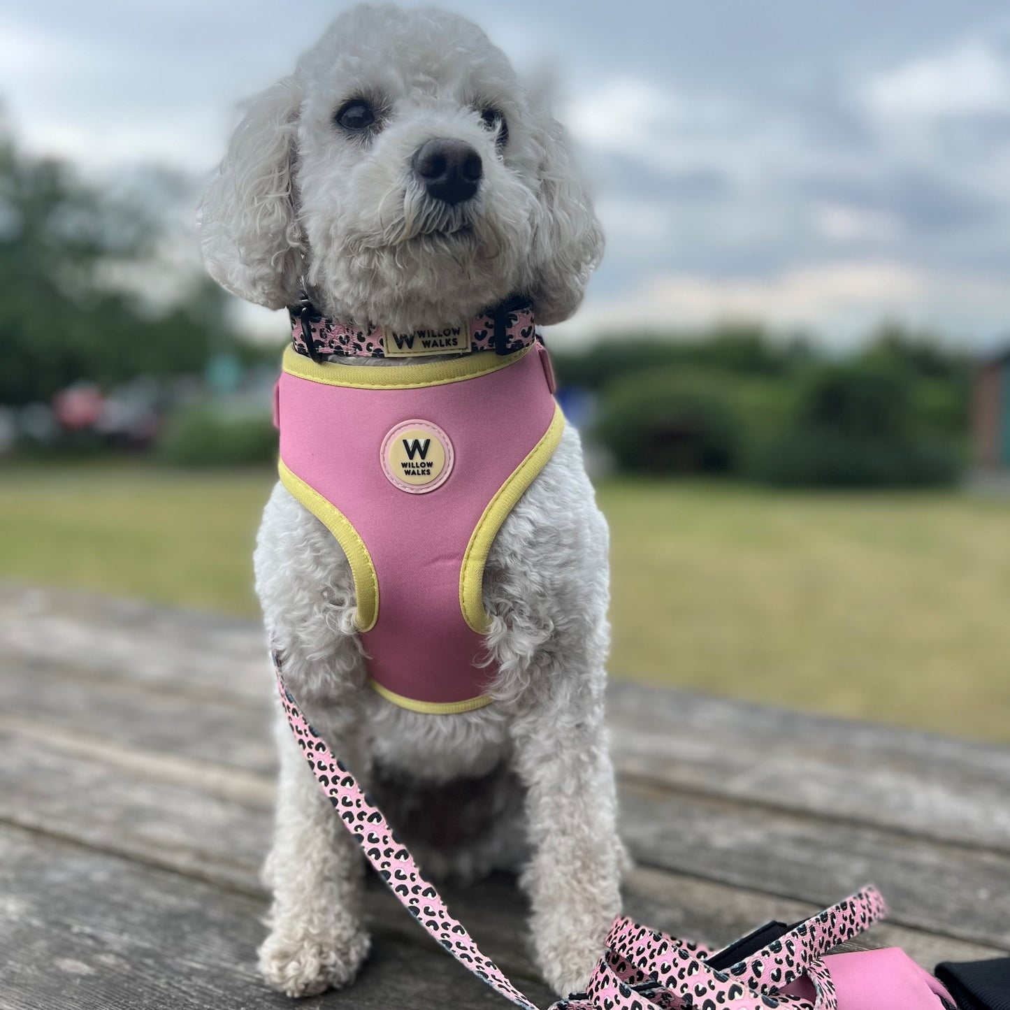 Willow Walks Harness in soft pink and yellow