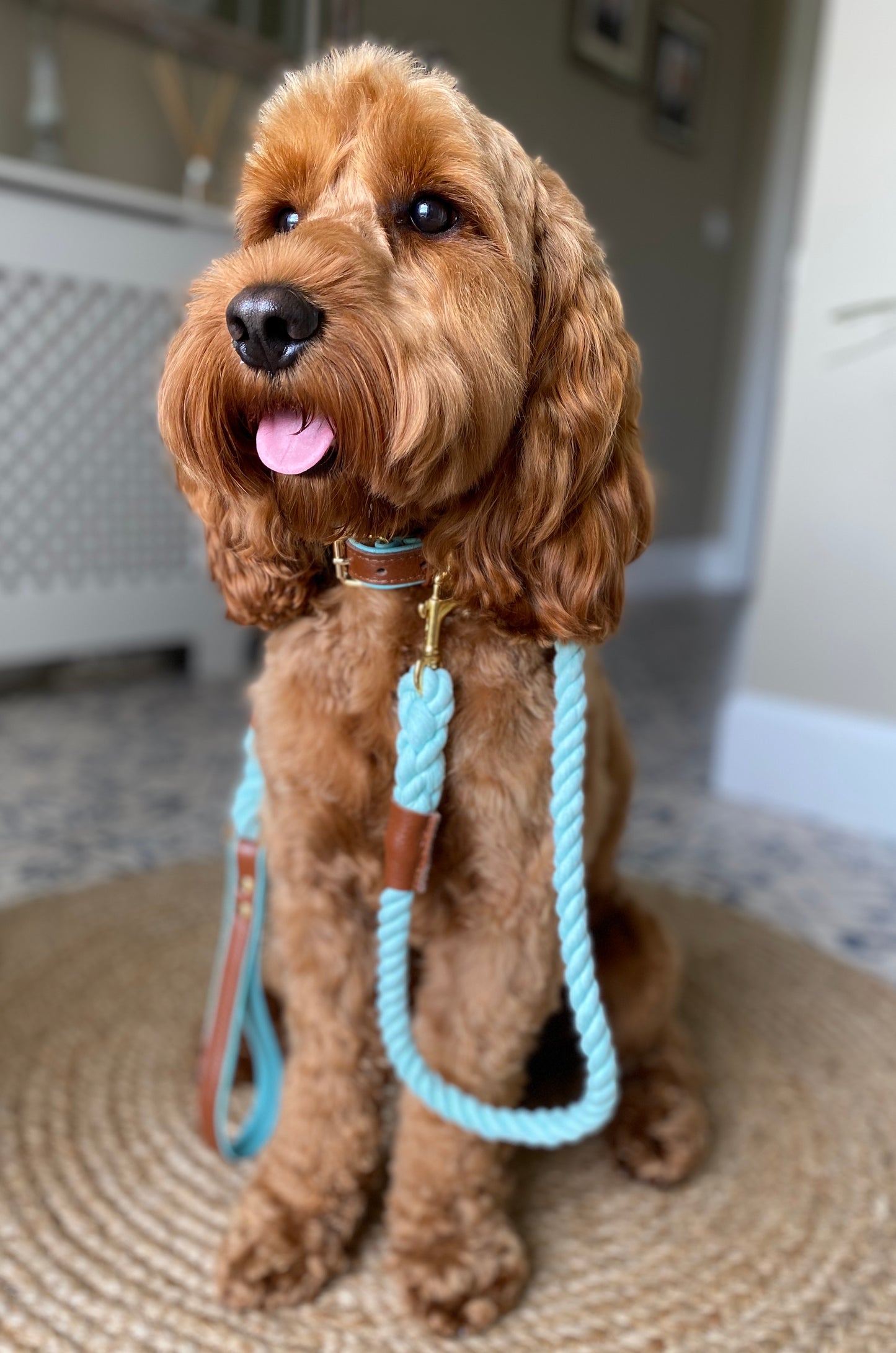 Willow Walks rope lead with leather handle in brown and aqua