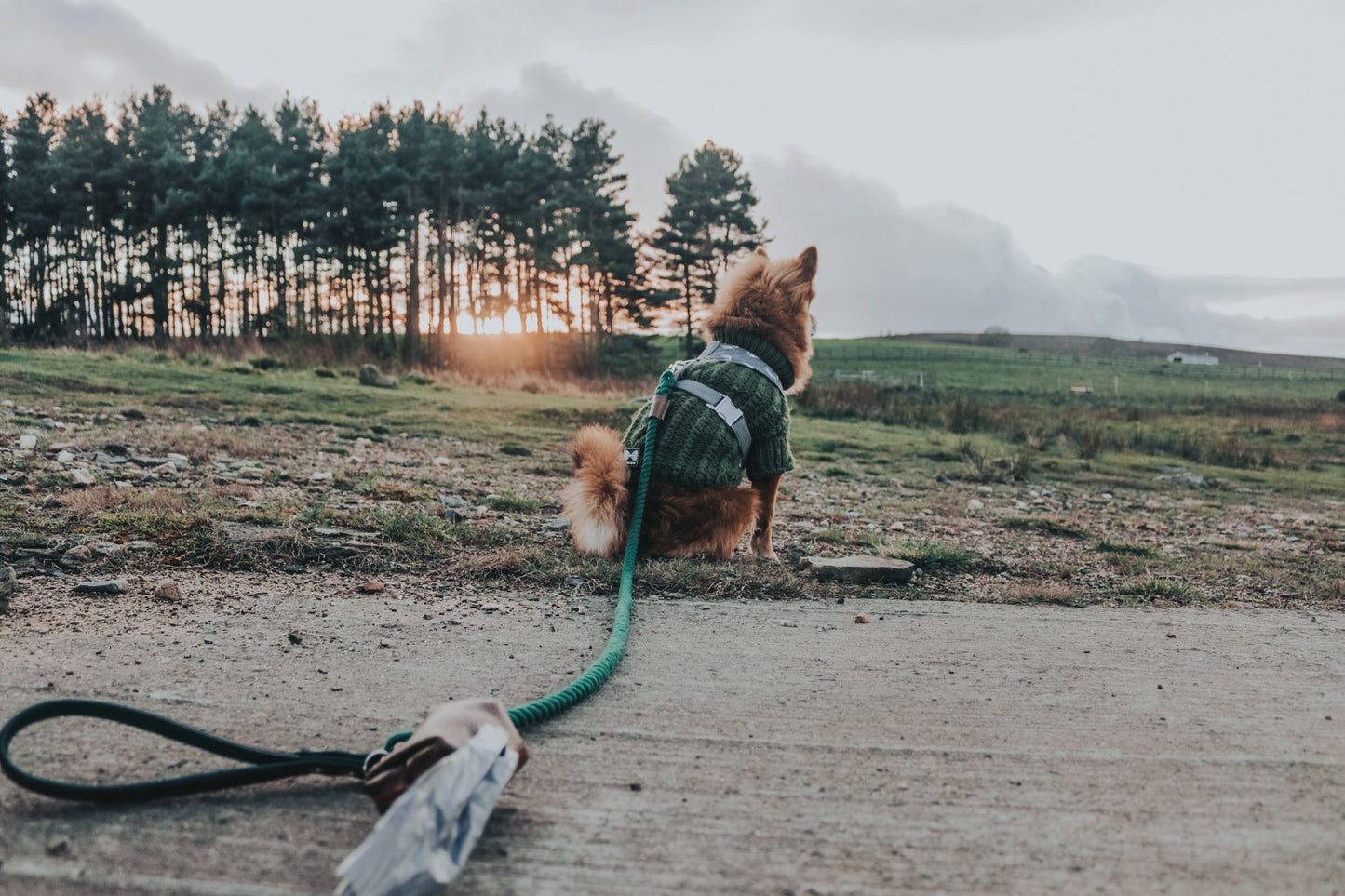 Willow Walks Rope Lead Bundle in Brown and Dark Green SAVE £6