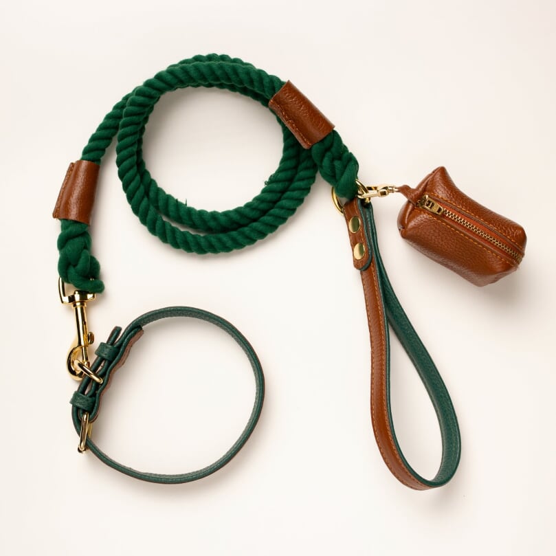 Willow Walks leather collar in brown and dark green