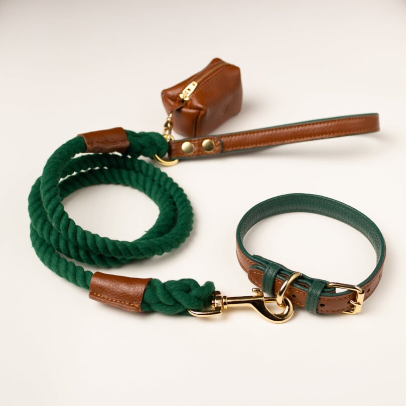 Willow Walks rope lead with leather handle in brown and dark green