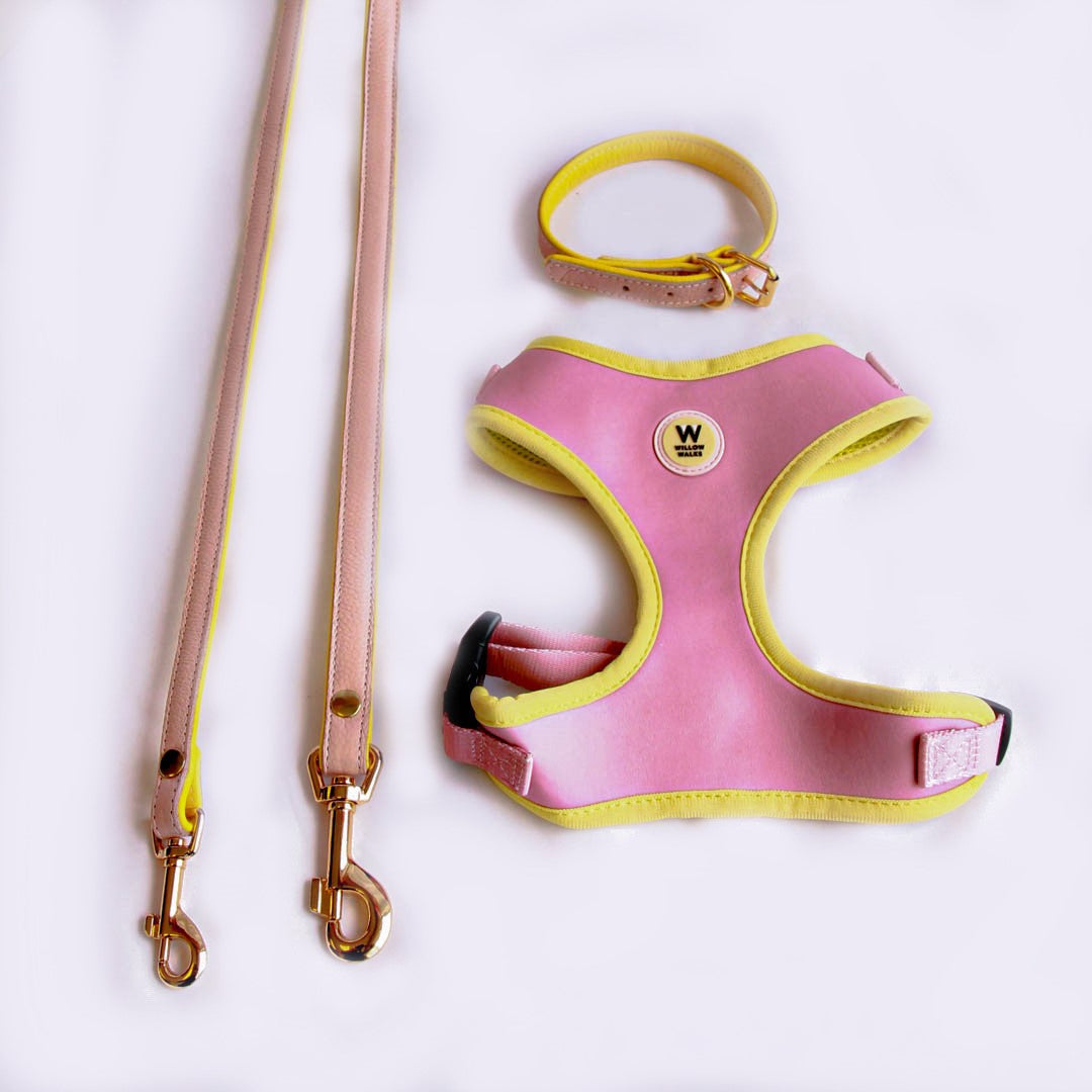 Willow Walks Harness in soft pink and yellow